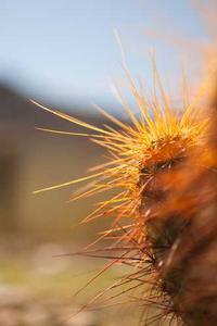 Excessive visible skin